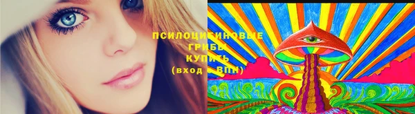 PSILOCYBIN Балабаново