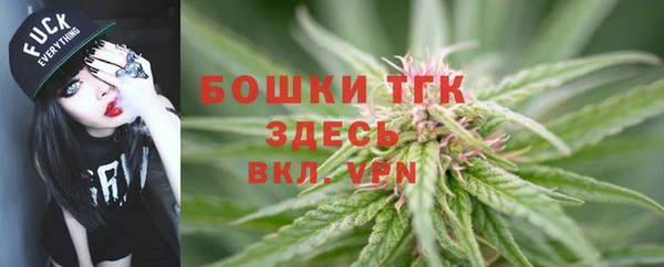 тгк Балахна