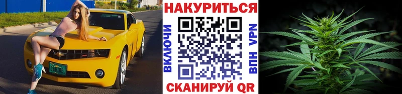 Бошки Шишки Amnesia Лахденпохья